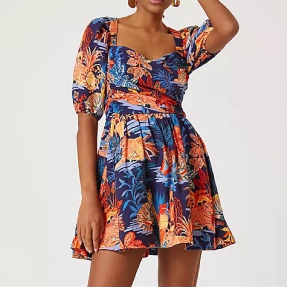 Anthropologie Tiger dress